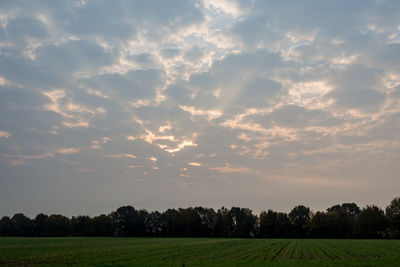 Scenic view of field against sky during sunset