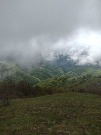 Scenic view of landscape against sky