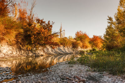 Trees by lake against sky during autumn