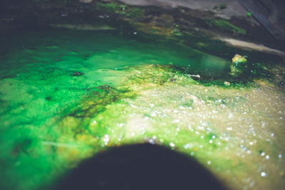 Close-up of swimming pool in sea