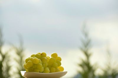 Detail shot of grapes against the sky