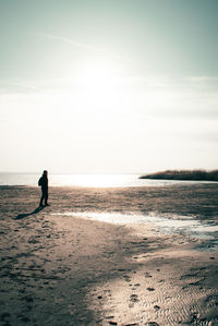 Rear view of man walking at beach against sky during sunset