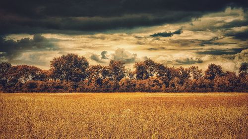 Scenic view of landscape against sky