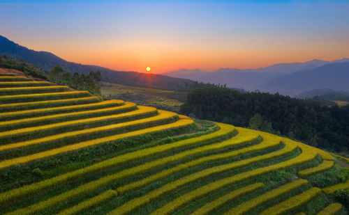 Scenic view of agricultural field against sky during sunset