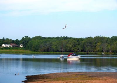 Boats moored in river against sky