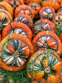 High angle view of pumpkins in market