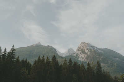 Trees with mountain range in background against cloudy sky