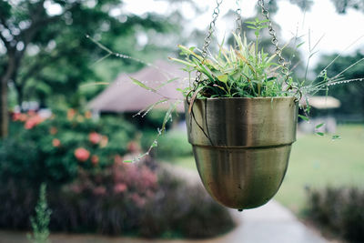Close up of suspended potted plant in a glamping resort