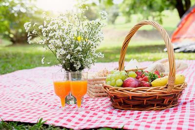 Food and juice on red picnic blanket over grass at park