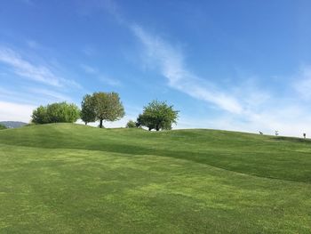 Trees on field against sky