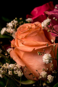 Close-up of pink rose bouquet