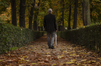 Rear view of adult man walking on path in public park in autumn. shot in retiro park, madrid, spain