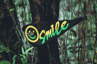 Close-up of text on tree trunk