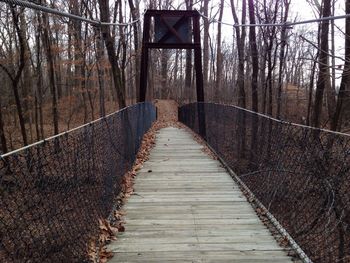 Narrow walkway along trees