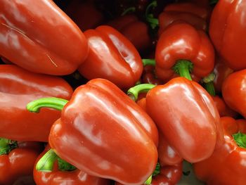 Close-up of tomatoes for sale in market