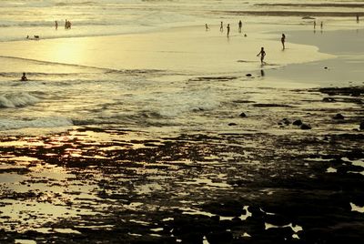 View of beach