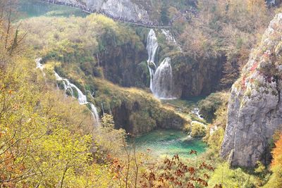 Scenic view of waterfall in forest