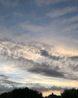 Low angle view of silhouette trees against sky during sunset