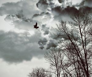 Low angle view of birds flying against cloudy sky