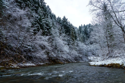 Scenic view of waterfall in forest against sky