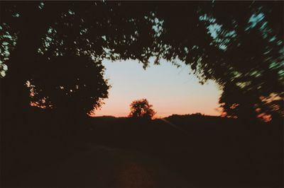 Silhouette trees on landscape against sky at sunset
