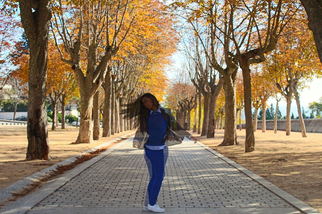 tree, full length, lifestyles, the way forward, rear view, leisure activity, autumn, park - man made space, walking, casual clothing, street, footpath, treelined, sidewalk, city, change, person, outdoors