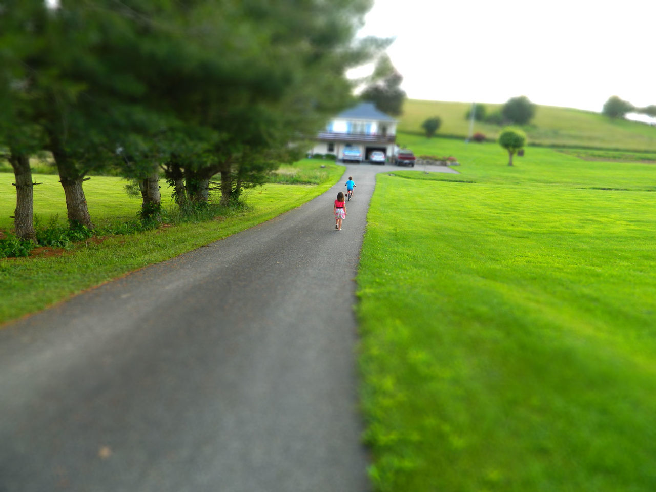 transportation, the way forward, grass, road, green color, road marking, diminishing perspective, tree, country road, vanishing point, landscape, field, asphalt, day, grassy, street, incidental people, direction, green, growth