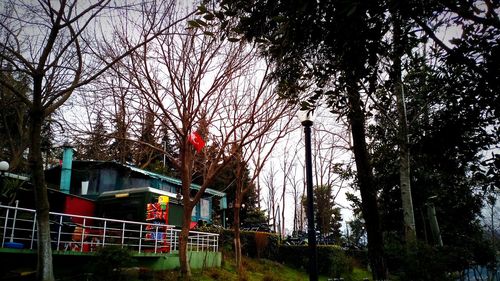 tree