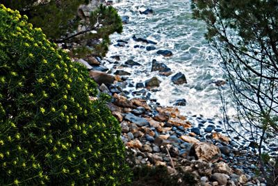 Rocks in sea