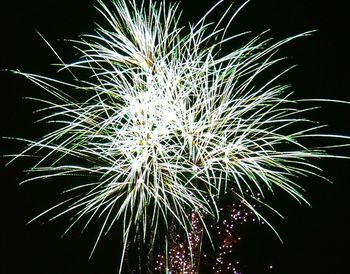 Low angle view of firework display