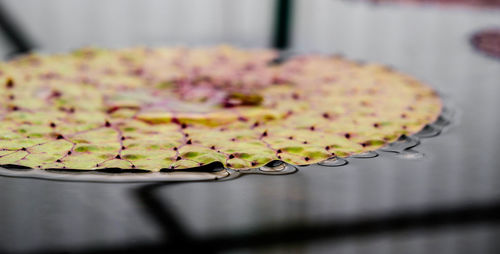 Close-up of cake on table