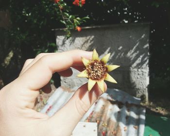 Close-up of hand holding flower