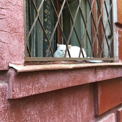 Close-up of window on wall