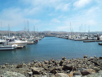 Sailboats moored in harbor