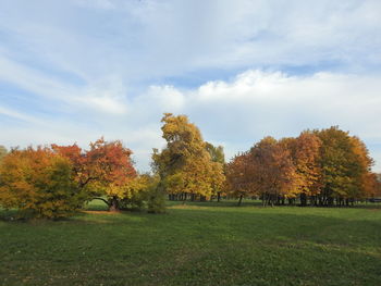 Trees on field against sky during autumn