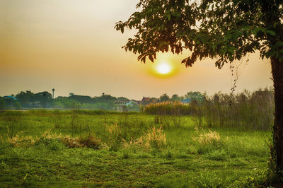 Scenic view of field against sky during sunset