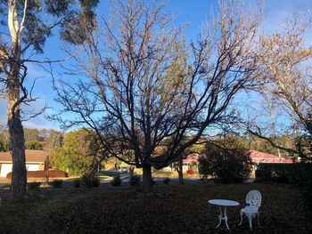 Trees in park against sky during autumn