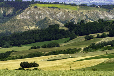 Scenic view of landscape