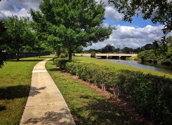 Footpath leading towards trees