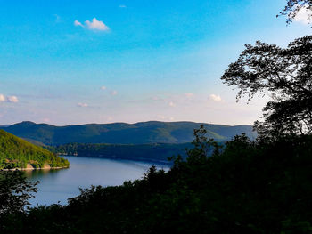 Scenic view of lake by trees against sky