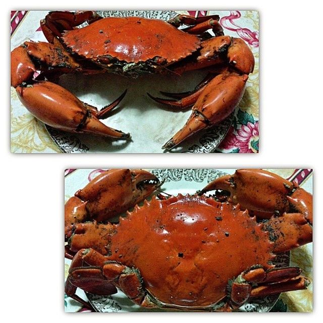 Crabwasted