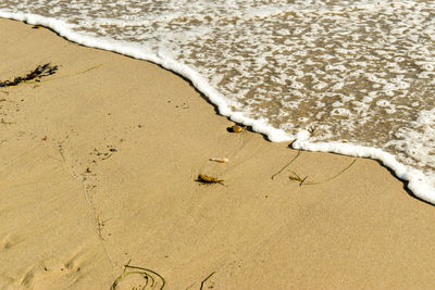 High angle view of beach