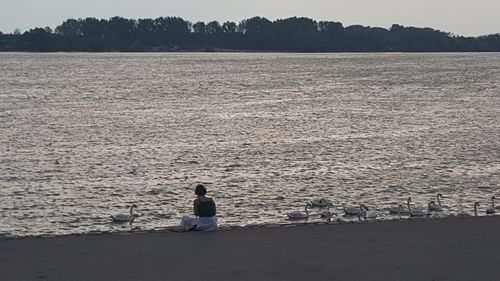Rear view of man sitting on shore