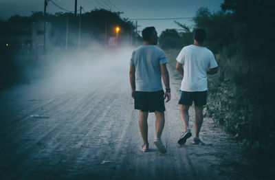 Rear view of friends walking on road in city