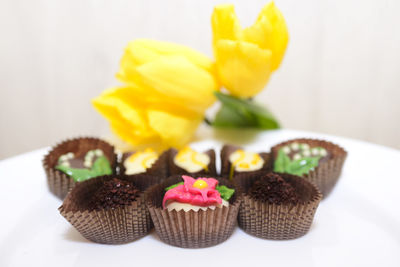 Close-up of cupcakes against white wall