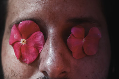 Close-up of pink flowering plant