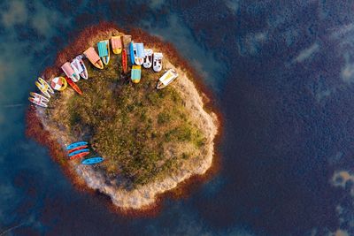 High angle view of coral in sea