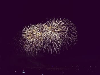 Low angle view of firework display against sky at night