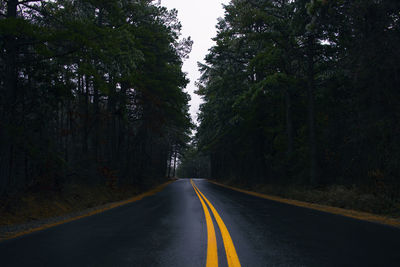 Empty road along trees