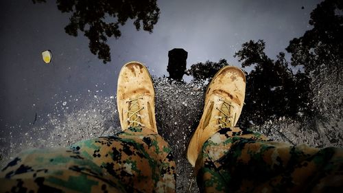 Reflection of trees in water